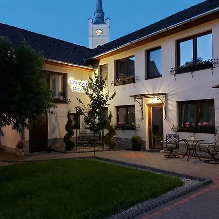 Guest house Conacul Poetilor Gura Raului