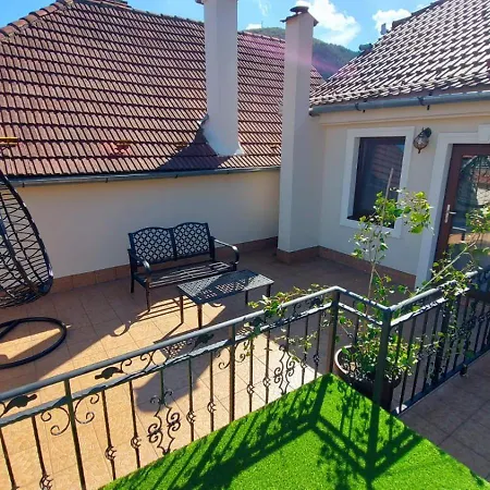 Guest house Conacul Poetilor Gura Raului
