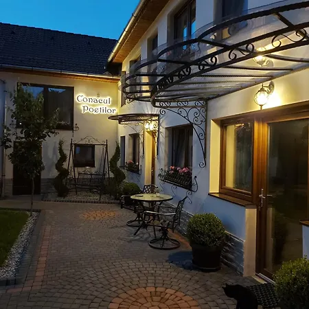 Conacul Poetilor Guest house Gura Raului