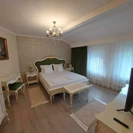 Guest house Conacul Poetilor *